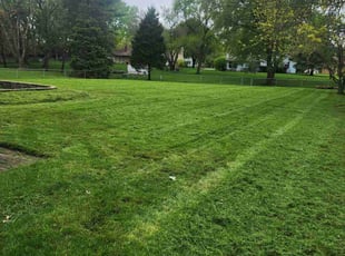 Donay A.'s Grass Cutting service result