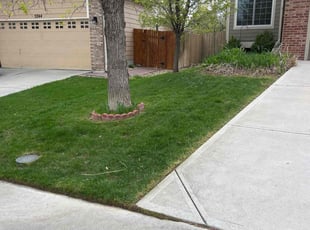 Matt F.'s Lawn Service service result