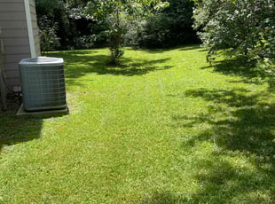 Ramesh A.'s Lawn Care service result
