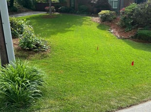 Sarah W.'s Lawn Maintenance service result