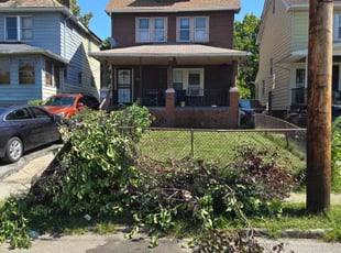 Bush Trimming by Stephanie Desvarieux for Kimberly P. in Cleveland, OH