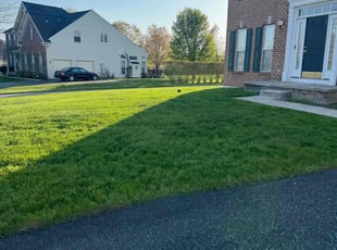 Archie A.'s Lawn Care service result