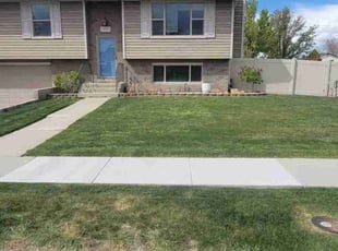 Vivian G.'s Yard Cutting service result