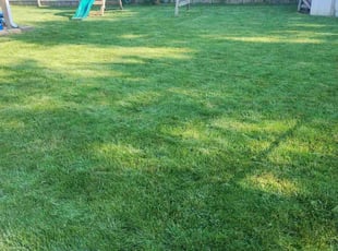 Alison Y.'s Lawn Service service result