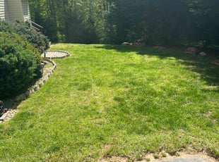Clarence T.'s Lawn Mowing service result