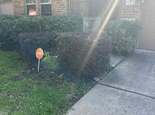 Bush Trimming by JosΓ© Gonzalez for Didarjan A. in Richmond, TX