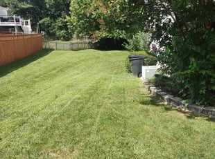 Sylvia R.'s Lawn Service service result