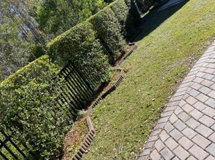 Bush Trimming by Ramon Gonzalez for Behiye Y. in Orlando, FL