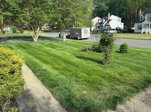 Sally M.'s Lawn Mowing Service service result