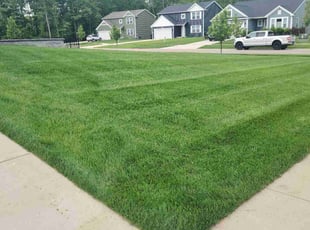 Katie W.'s Lawn Care service result