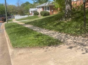 Erica B.'s Lawn Care service result