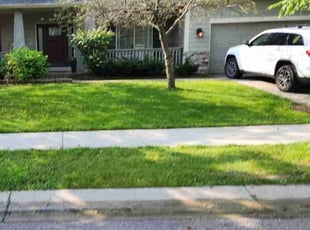 Fred M.'s Lawn Service service result