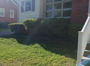 Bush Trimming by Derrick Wilson Jr for Lexa S. in Richmond, VA