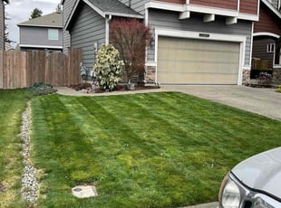 Mark A.'s Lawn Care service result