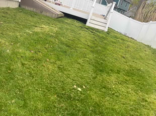 John m.'s Lawn Mowing service result