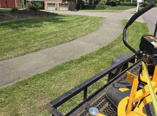 Diego P.'s Lawn Mowing service result