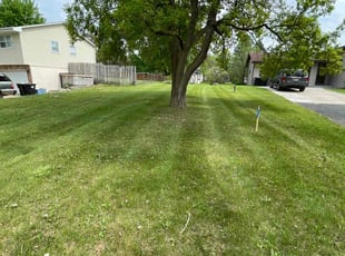 Wanda H.'s Lawn Mowing Service service result