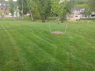 Lisa K.'s Lawn Mowing Service service result