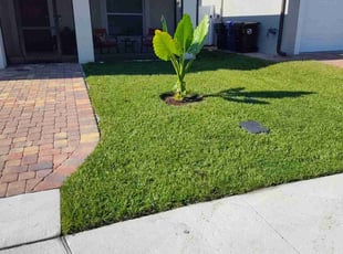 Linda E.'s Lawn Care service result