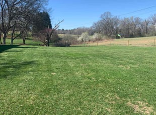 Bernita R.'s Lawn Mowing service result