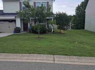 Loquin B.'s Lawn Service service result
