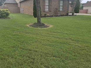 Young Wook K.'s Lawn Care service result