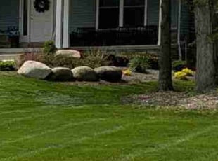 Weeding by Matthew White for Amy W. in Valley City, OH