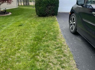 Bush Trimming by Alex Sanner for Prathyusha A. in Dublin, OH