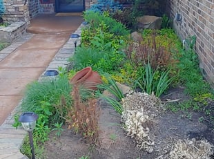Bush Trimming by Timothy Steward for Kenneth A. in Oklahoma City, OK