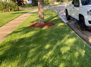 Debbie C.'s Lawn Service service result
