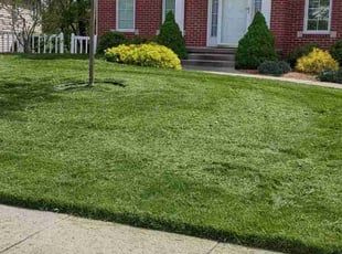 Jack f.'s Lawn Mowing Service service result