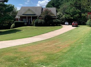 Bush Trimming by Daniel Buggs for Sophila J. in McDonough, GA