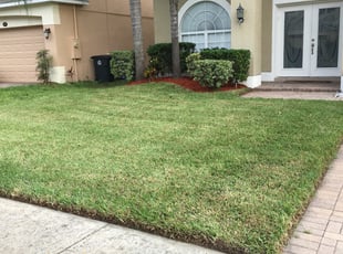 Bush Trimming by Mila Boza for Tyler L. in Winter Garden, FL