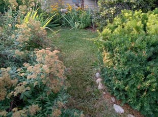 Imelda O.'s Lawn Mowing service result