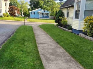 Angela J.'s Grass Cutting service result
