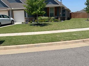 Alexis M.'s Lawn Maintenance service result