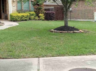 Elizabeth E.'s Lawn Care service result