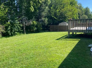 Kendall C.'s Lawn Care service result
