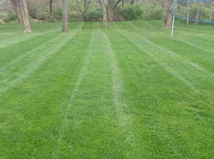 Leslie B.'s Lawn Care service result