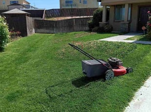 Karen D.'s Lawn Care service result