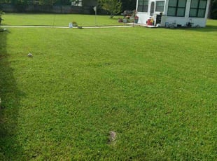 Terry S.'s Lawn Service service result