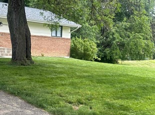 Merlin M.'s Lawn Mowing service result