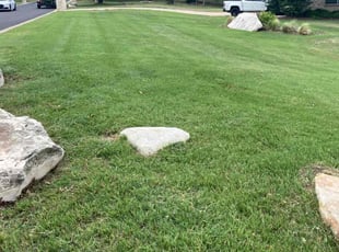 lisa w.'s Lawn Care service result