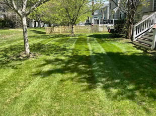 Russell M.'s Lawn Mowing Service service result