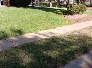 Jess C.'s Lawn Mowing Service service result