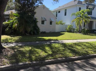summer n.'s Grass Cutting service result