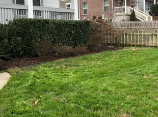 Bush Trimming by George Ingram for Erin E. in Nashville, TN