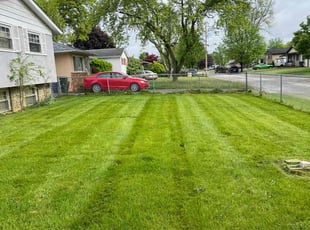 Jon T.'s Grass Cutting service result