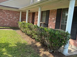 Bush Trimming by Santiago Rodriguez for Leroy S. in Pearland, TX