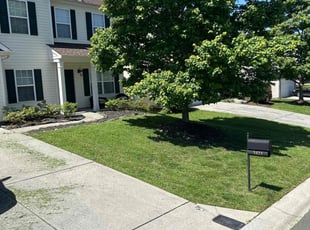 Rasheeda B.'s Lawn Mowing service result